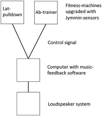 Musical Agency during Physical Exercise Decreases Pain